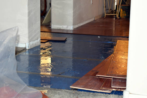 Professional Flood Damage Restoration technician working in Meredith, NH
